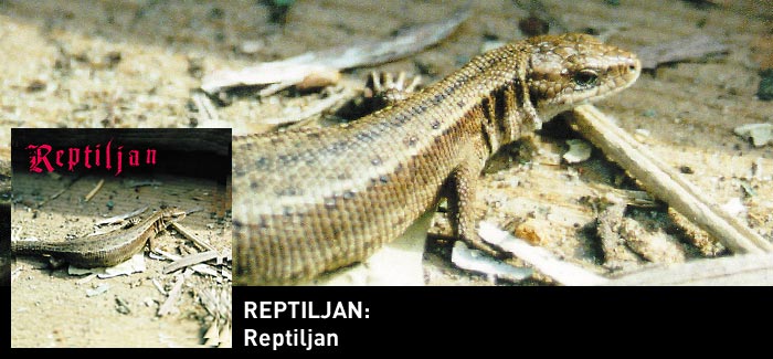 Reptiljan - s/t CDR