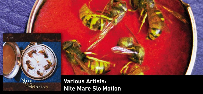 Nite Mare Slo Motion CD (Various Artists)